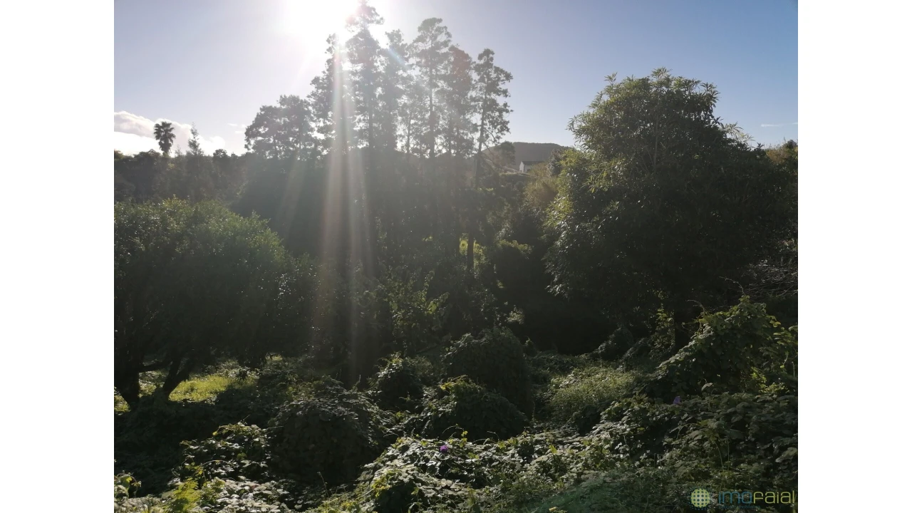 Moradia T3 para Venda em Flamengos Foto 35