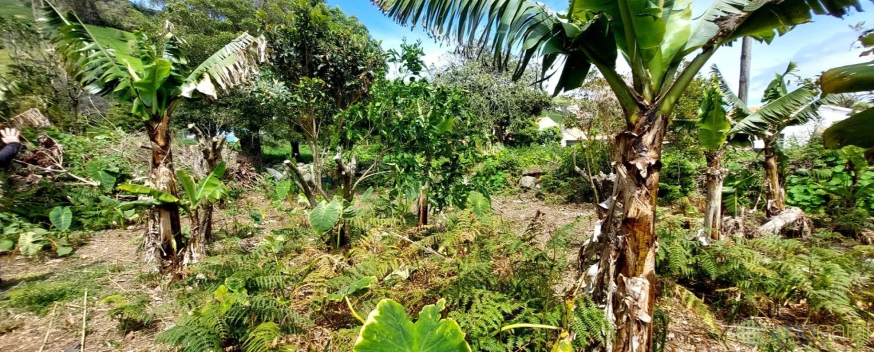 Moradia T3 para Venda em Flamengos Foto 43