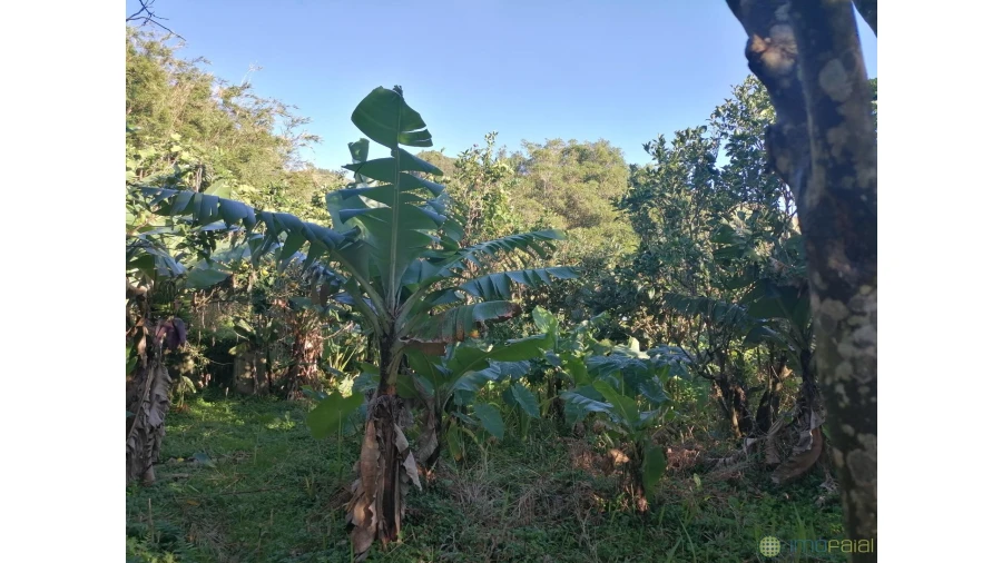 Moradia T3 para Venda em Flamengos Foto 32