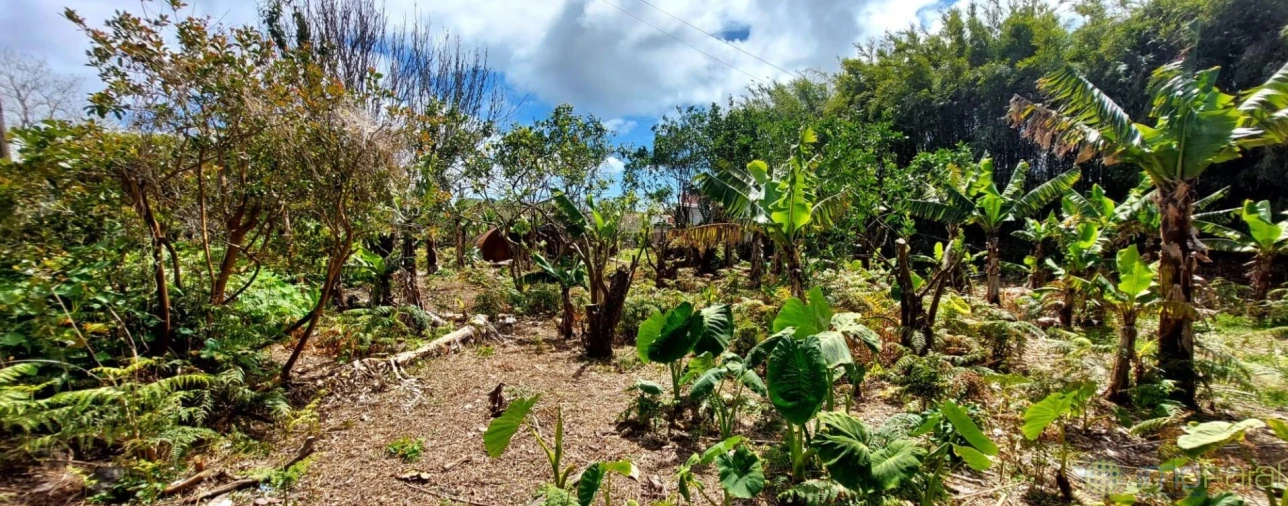 Moradia T3 para Venda em Flamengos Foto 37