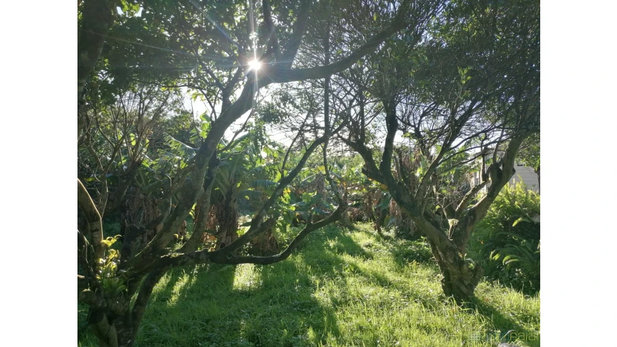 Moradia T3 para Venda em Flamengos Foto 31