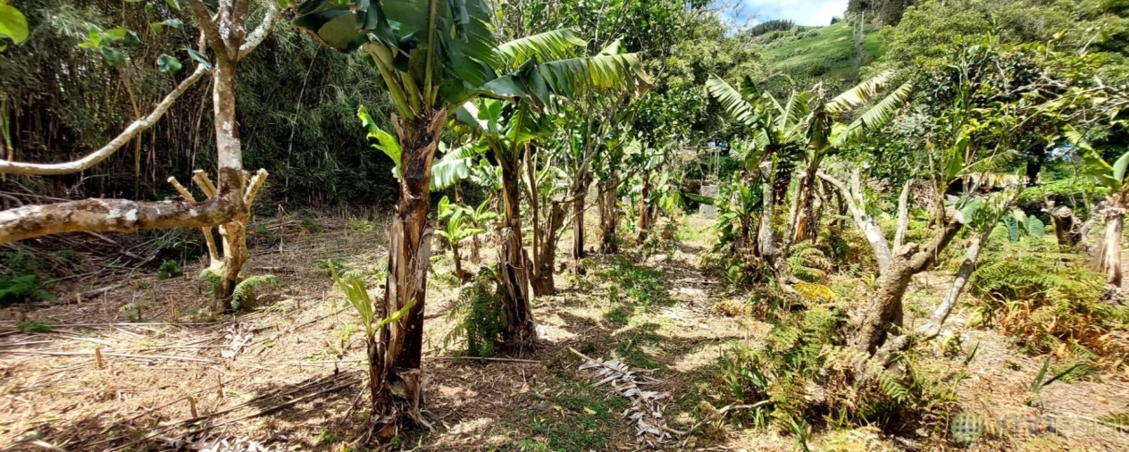 Moradia T3 para Venda em Flamengos Foto 38