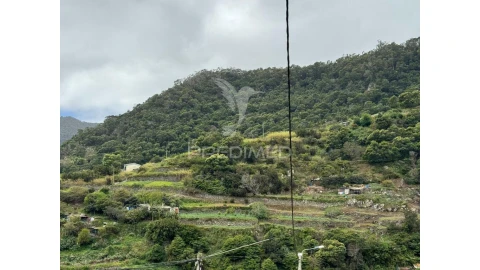 Terreno para Venda em Machico