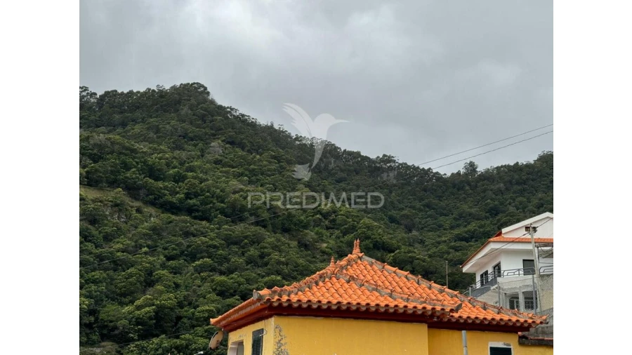Terreno para Venda em Machico Foto 4