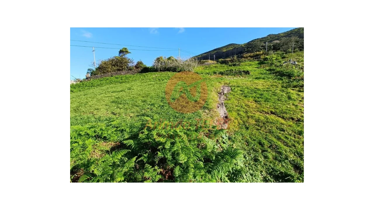 Terreno para Venda em Santo Amaro Foto 8
