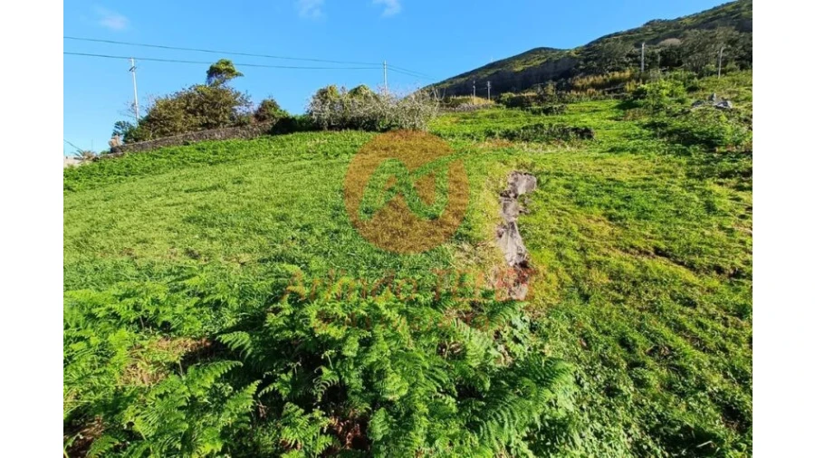 Terreno para Venda em Santo Amaro Foto 8