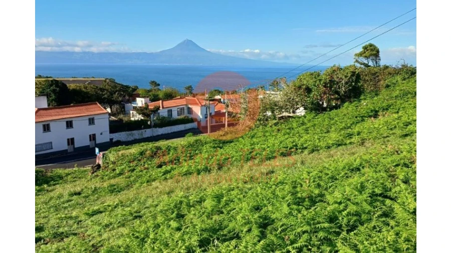 Terreno para Venda em Santo Amaro
