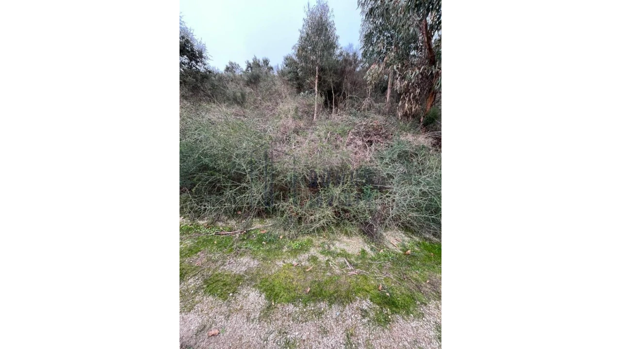 Terreno para Venda em Santa Cruz do Douro e São Tomé de Covelas Foto 1