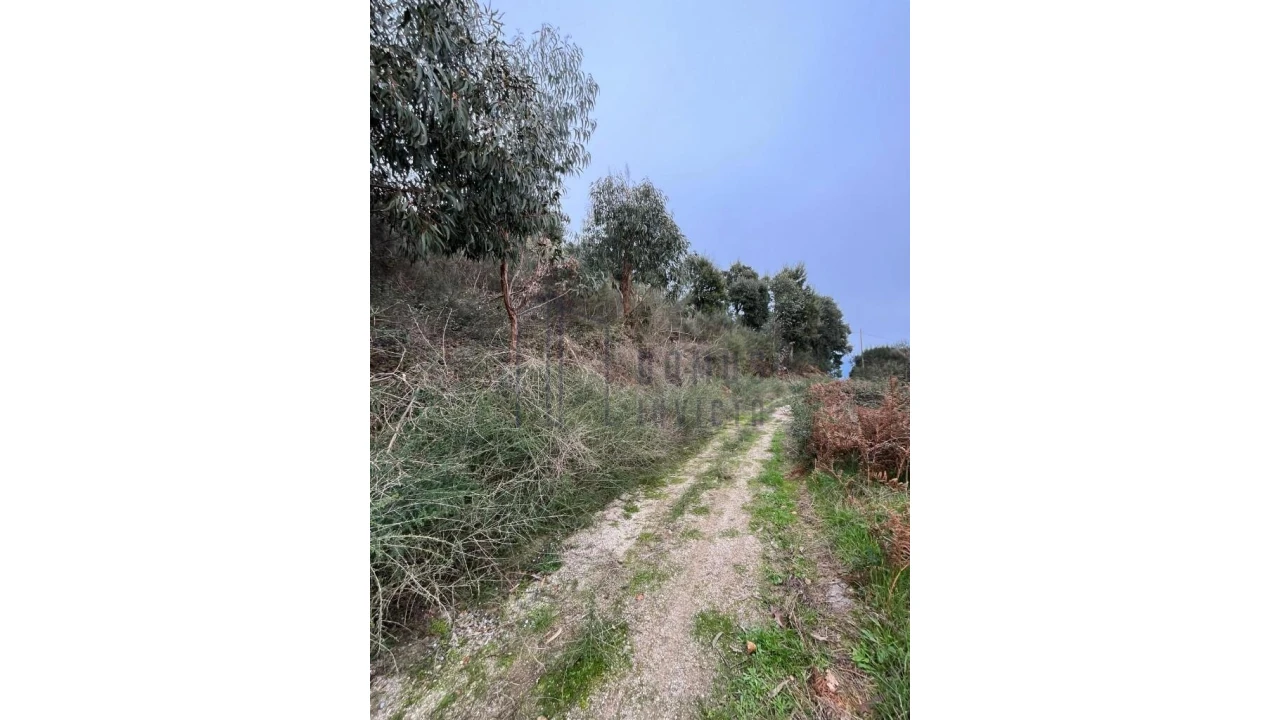 Terreno para Venda em Santa Cruz do Douro e São Tomé de Covelas Foto 2