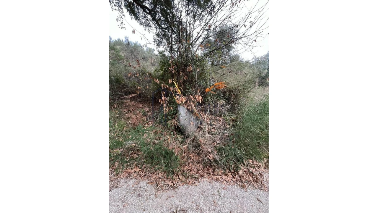 Terreno para Venda em Santa Cruz do Douro e São Tomé de Covelas Foto 7