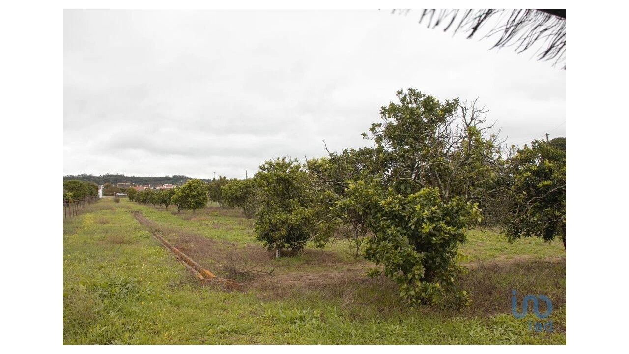 Moradia T3 para Venda em Carregueira Foto 3