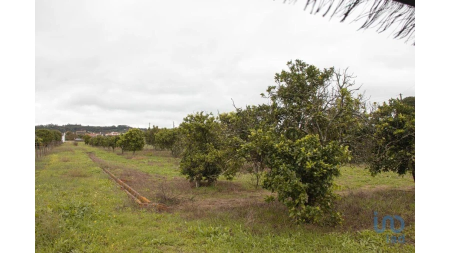 Moradia T3 para Venda em Carregueira Foto 3