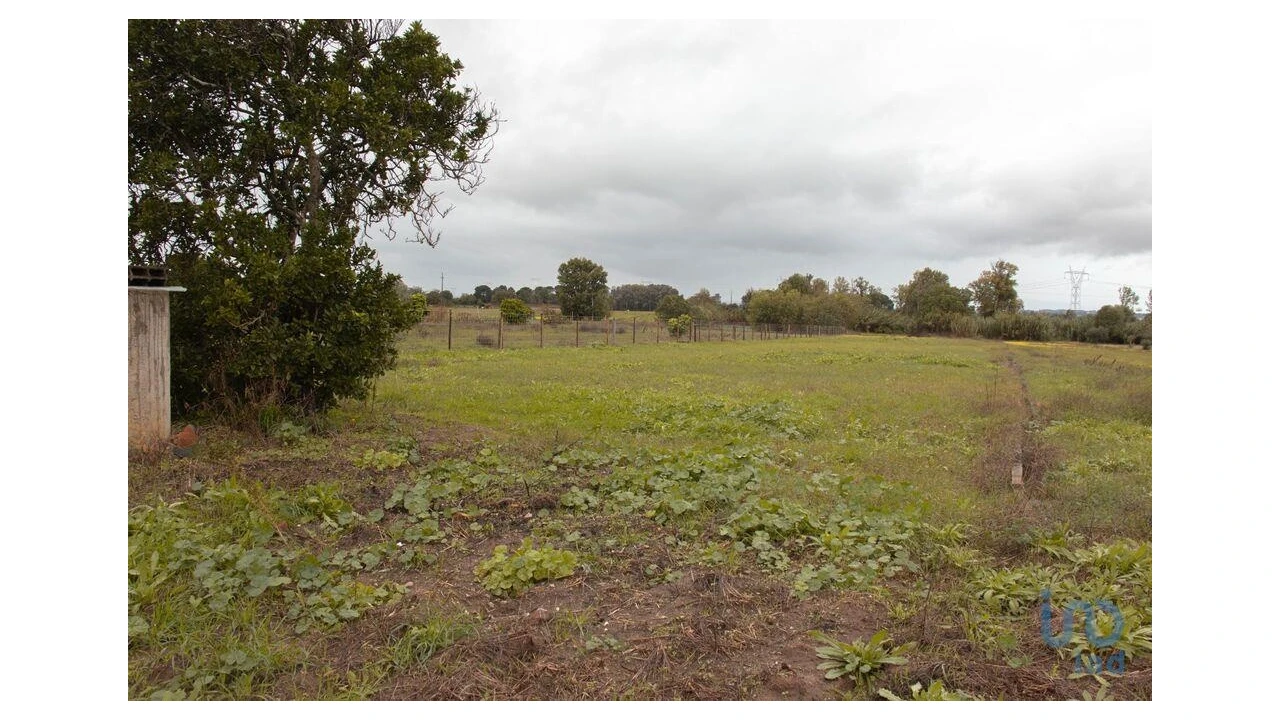 Moradia T3 para Venda em Carregueira Foto 4