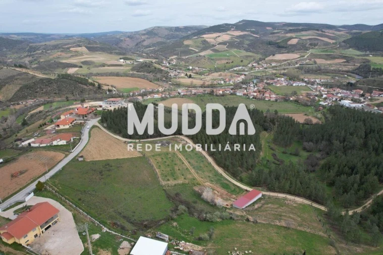 Terreno para Venda em Gimonde Foto 10