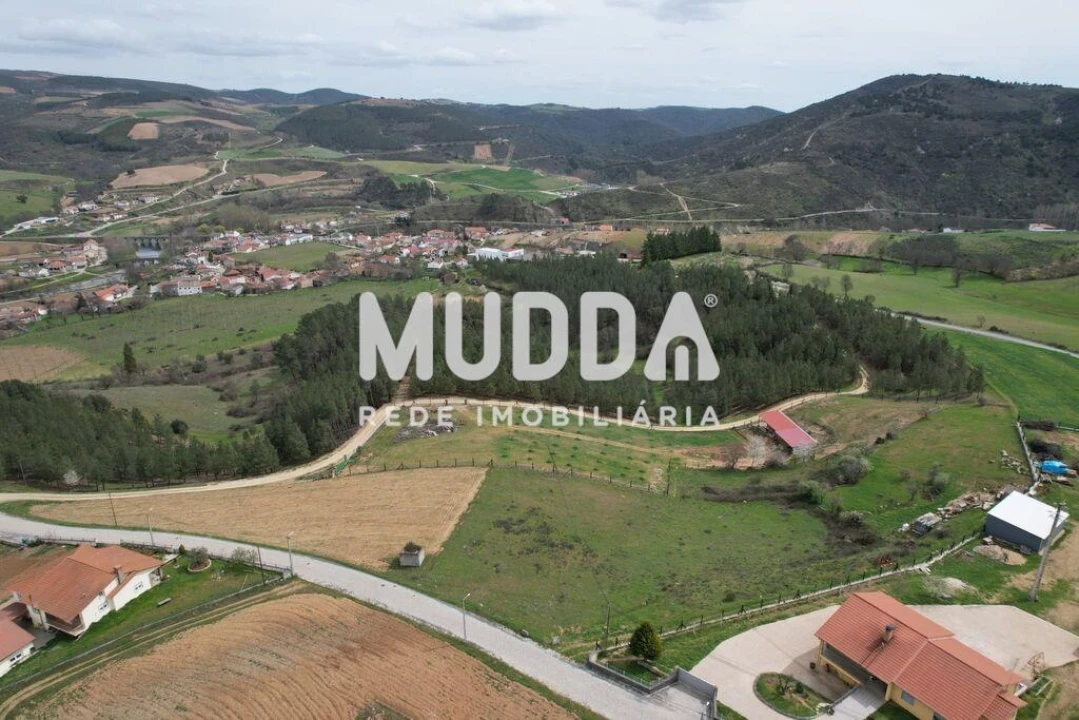 Terreno para Venda em Gimonde Foto 11