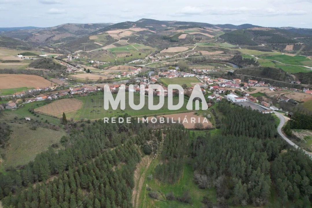 Terreno para Venda em Gimonde Foto 3