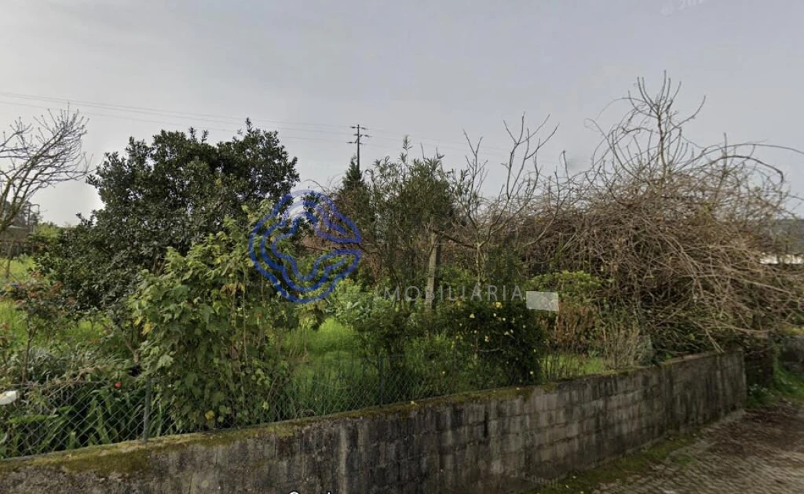 Terreno para Venda em Campo e Sobrado Foto 3