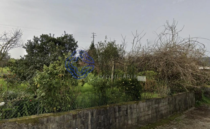 Terreno para Venda em Campo e Sobrado Foto 3
