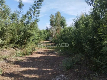 Terreno para Venda em Eixo e Eirol