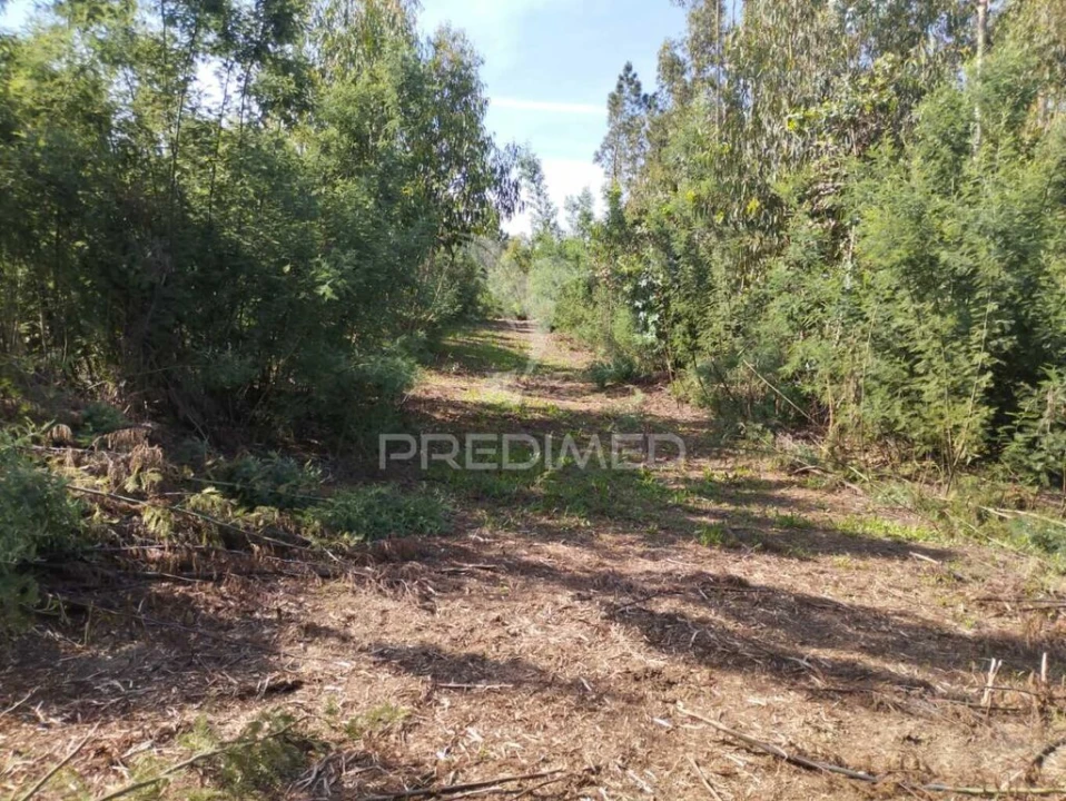 Terreno para Venda em Eixo e Eirol Foto 2