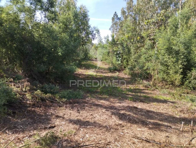 Terreno para Venda em Eixo e Eirol Foto 2