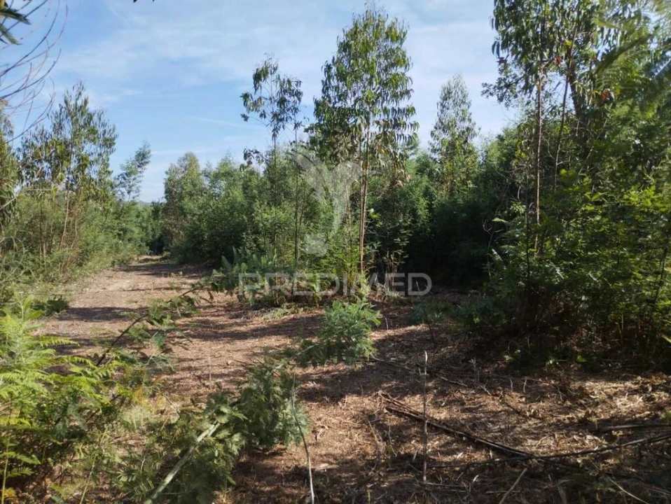 Terreno para Venda em Eixo e Eirol Foto 6