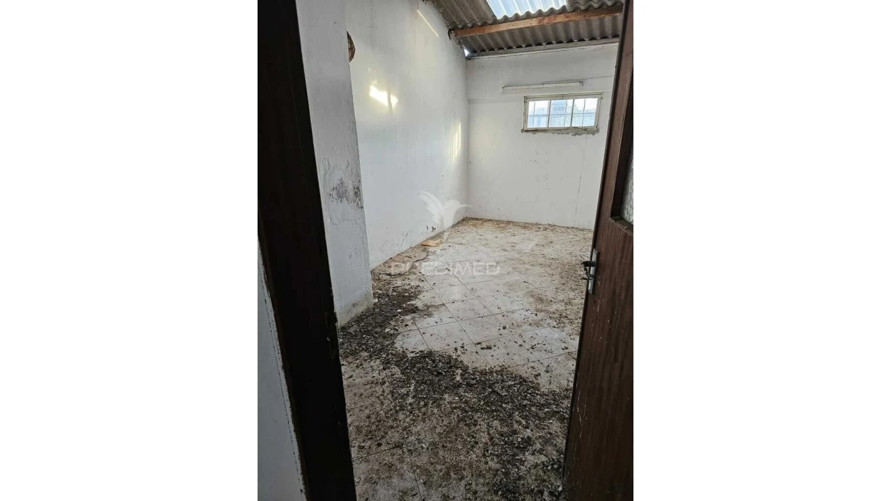 Loja para Venda em Faro (Sé e São Pedro) Foto 6