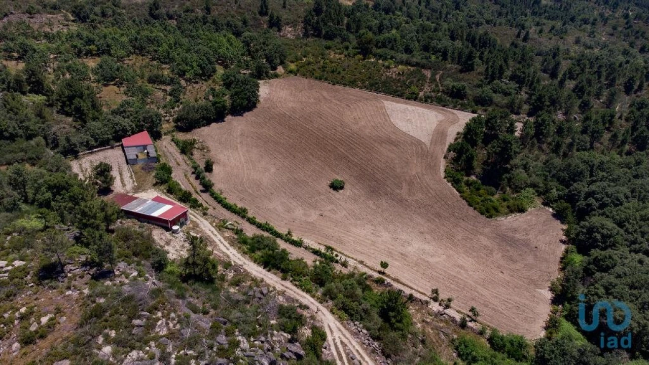 Terreno para Venda em Santa Cruz/Trindade e Sanjurge Foto 11