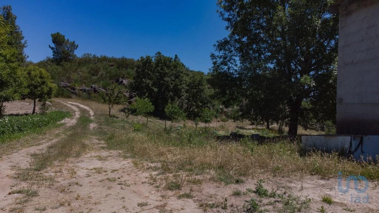 Terreno para Venda em Santa Cruz/Trindade e Sanjurge Foto 6