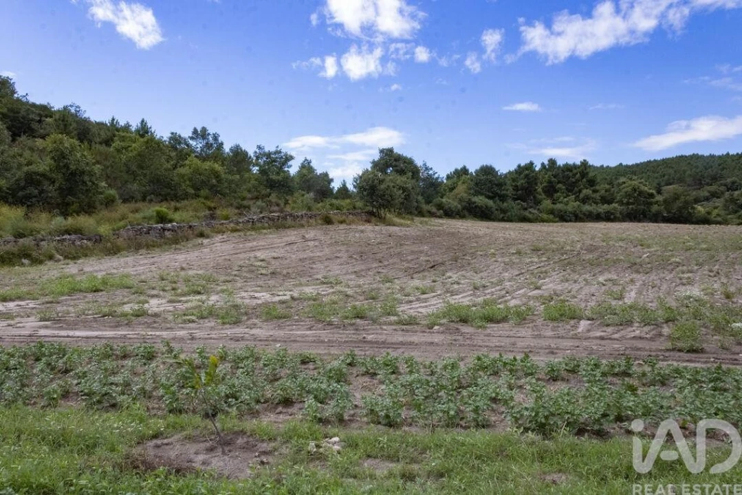 Terreno para Venda em Santa Cruz/Trindade e Sanjurge Foto 25