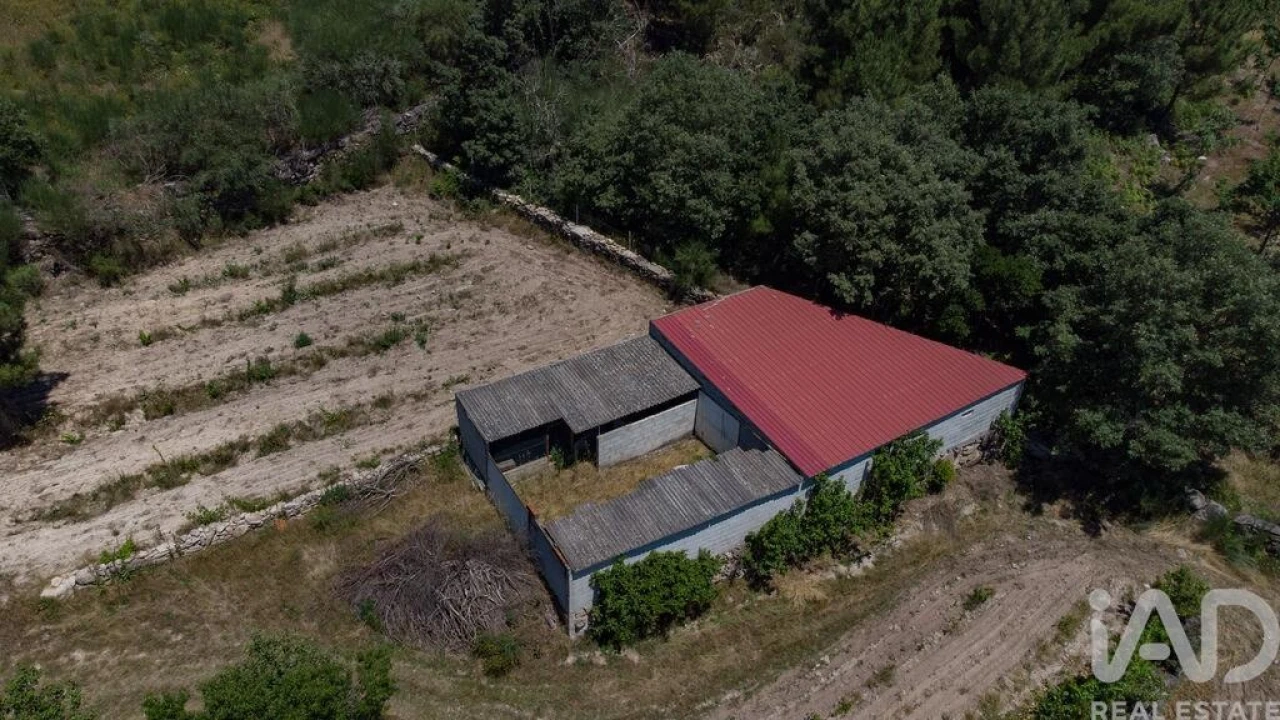 Terreno para Venda em Santa Cruz/Trindade e Sanjurge Foto 17
