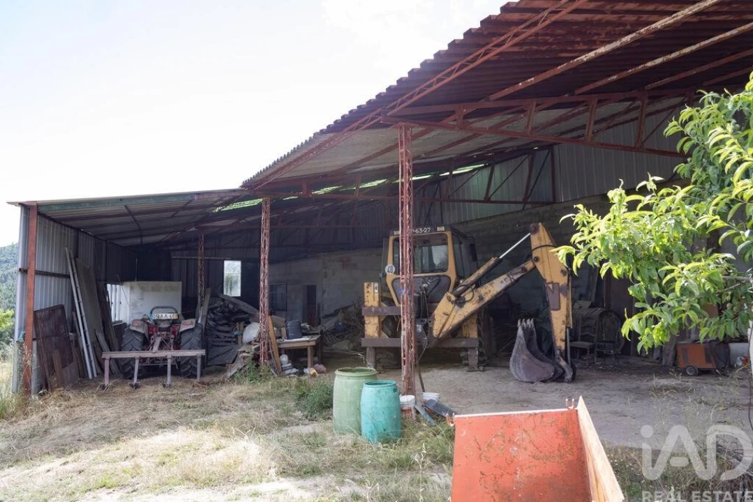 Terreno para Venda em Santa Cruz/Trindade e Sanjurge Foto 22