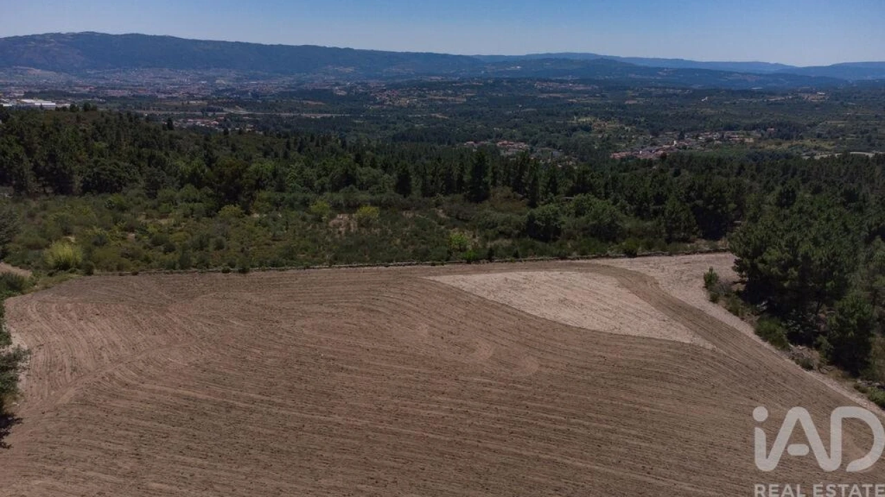 Terreno para Venda em Santa Cruz/Trindade e Sanjurge Foto 18