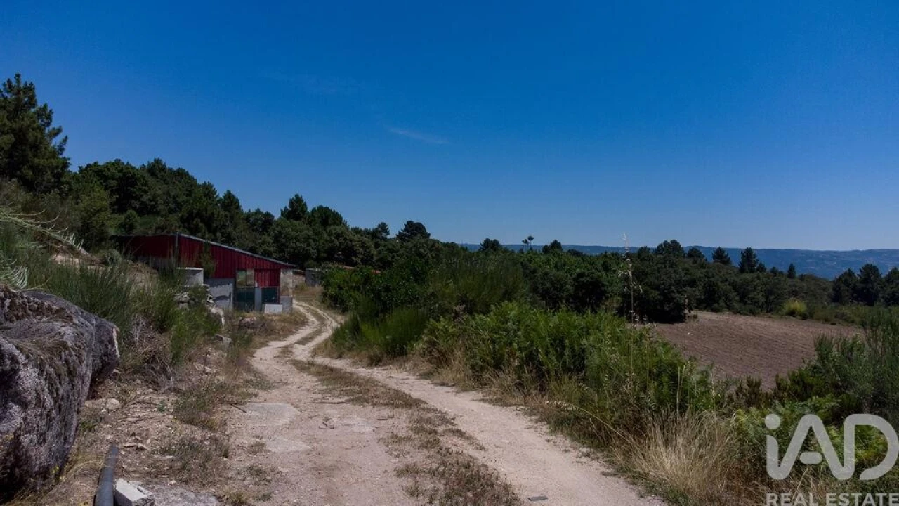 Terreno para Venda em Santa Cruz/Trindade e Sanjurge Foto 19