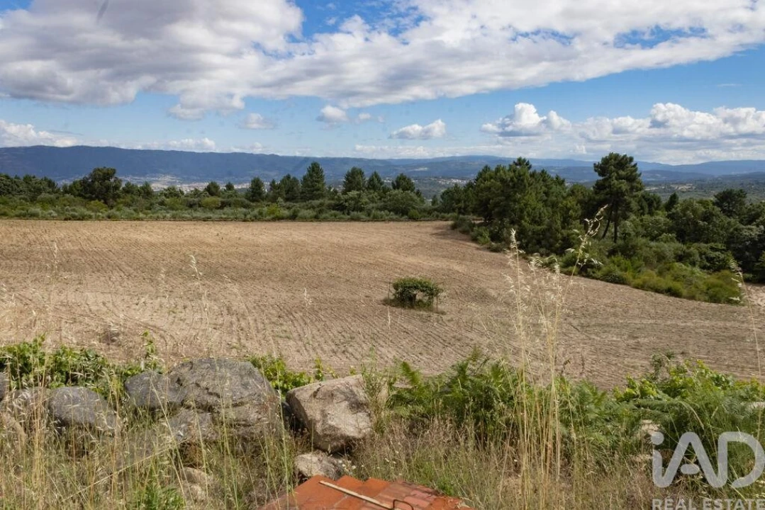 Terreno para Venda em Santa Cruz/Trindade e Sanjurge Foto 21