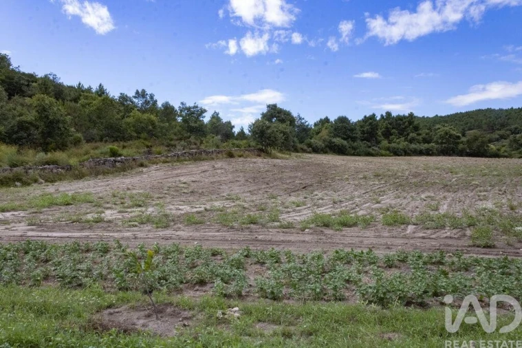 Terreno para Venda em Santa Cruz/Trindade e Sanjurge Foto 25