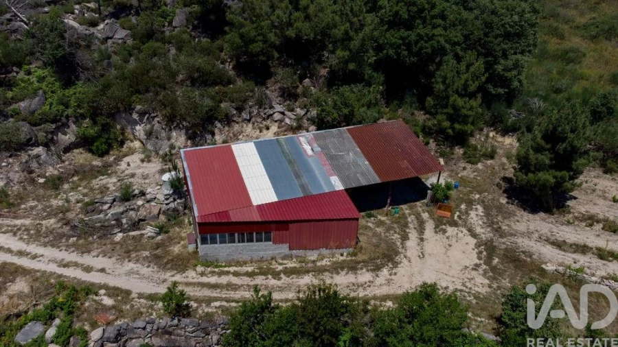 Terreno para Venda em Santa Cruz/Trindade e Sanjurge Foto 16