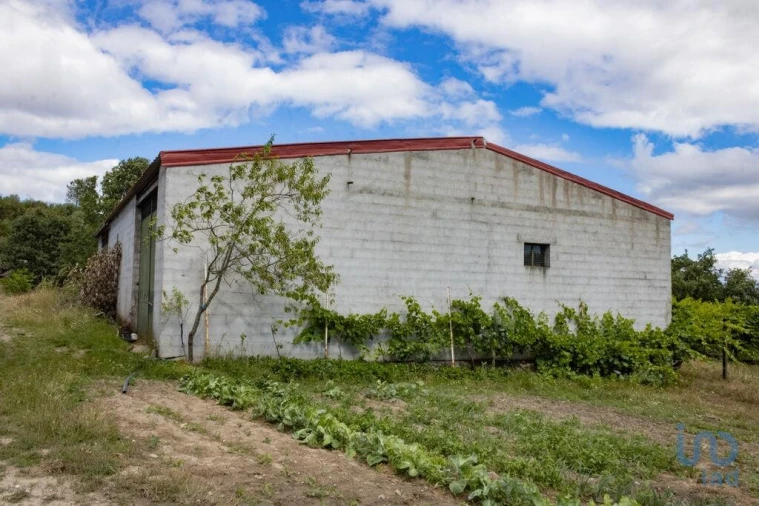 Terreno para Venda em Santa Cruz/Trindade e Sanjurge Foto 3