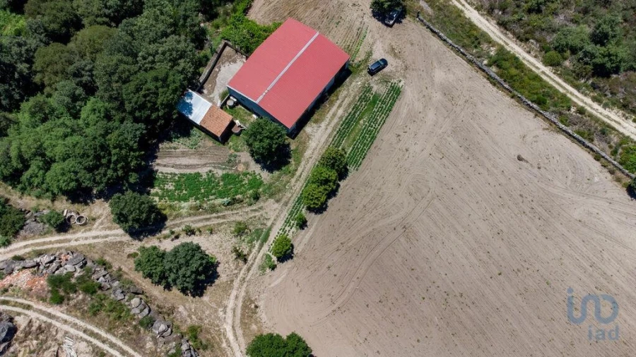 Terreno para Venda em Santa Cruz/Trindade e Sanjurge Foto 15
