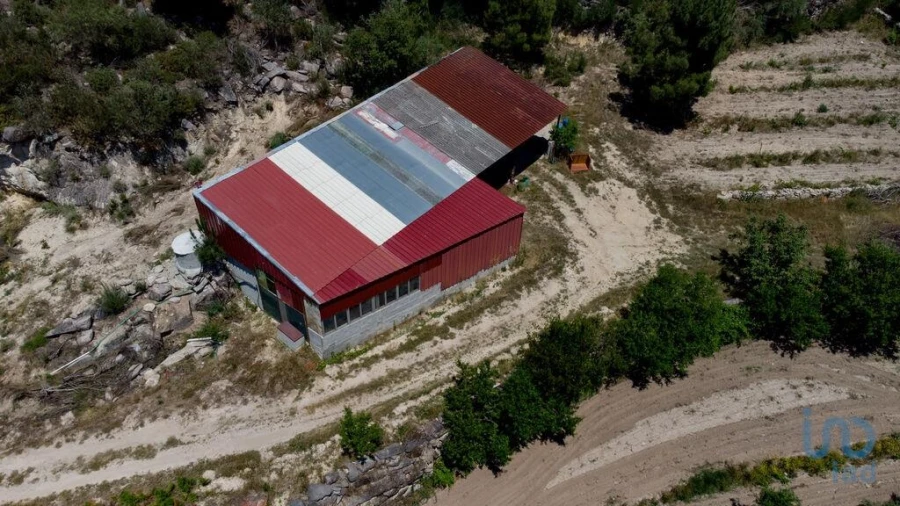 Terreno para Venda em Santa Cruz/Trindade e Sanjurge Foto 14