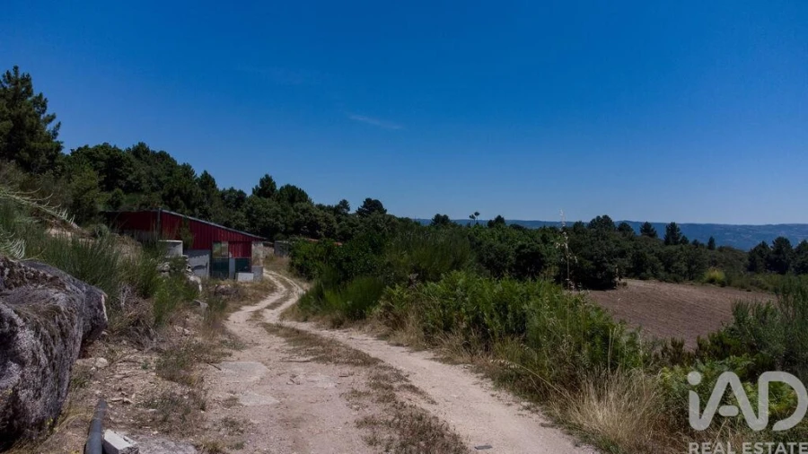 Terreno para Venda em Santa Cruz/Trindade e Sanjurge Foto 19