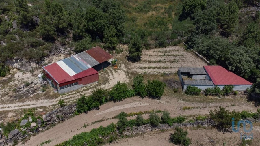 Terreno para Venda em Santa Cruz/Trindade e Sanjurge Foto 7