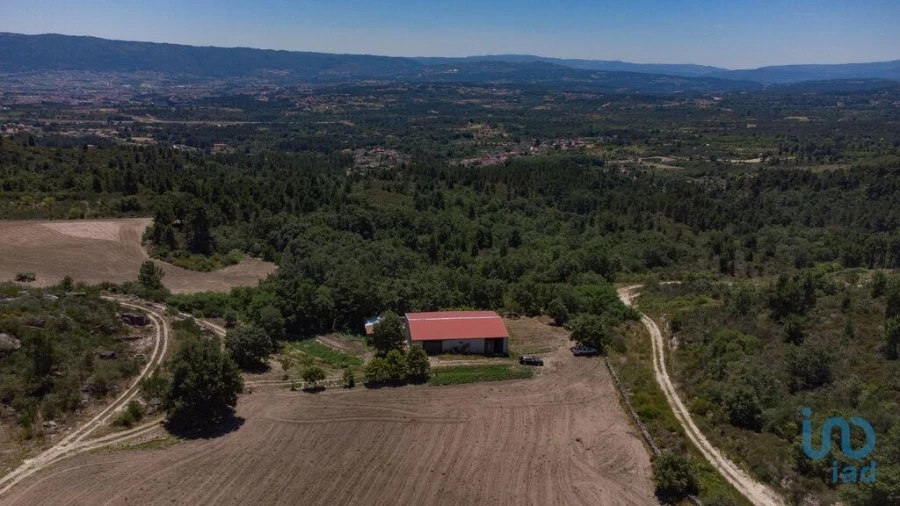 Terreno para Venda em Santa Cruz/Trindade e Sanjurge Foto 1