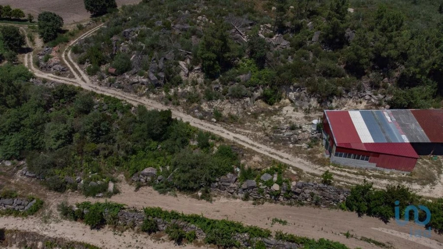 Terreno para Venda em Santa Cruz/Trindade e Sanjurge Foto 8
