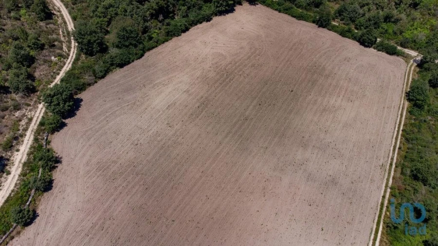 Terreno para Venda em Santa Cruz/Trindade e Sanjurge Foto 12