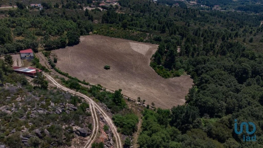 Terreno para Venda em Santa Cruz/Trindade e Sanjurge Foto 5