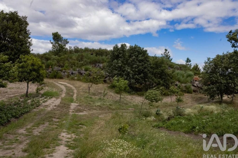 Terreno para Venda em Santa Cruz/Trindade e Sanjurge Foto 24