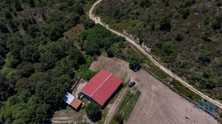 Terreno para Venda em Santa Cruz/Trindade e Sanjurge Foto 13