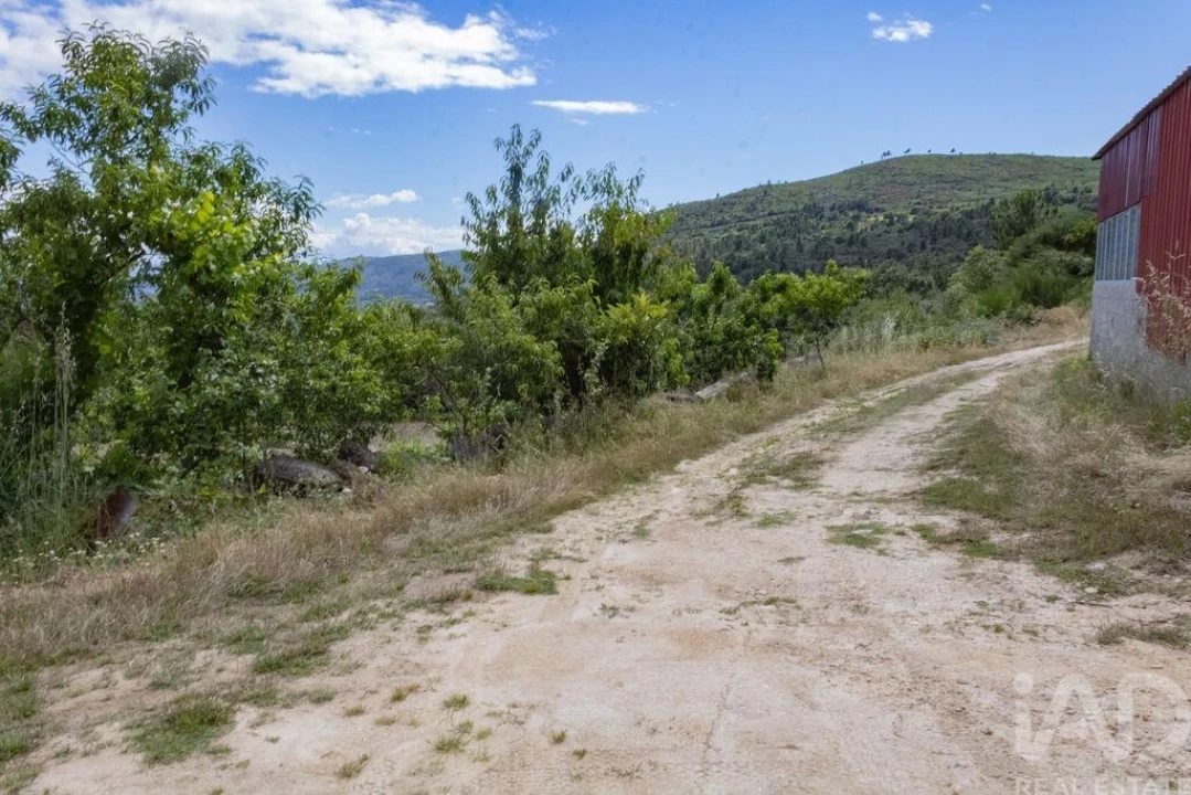 Terreno para Venda em Santa Cruz/Trindade e Sanjurge Foto 23