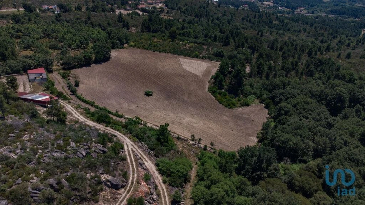 Terreno para Venda em Santa Cruz/Trindade e Sanjurge Foto 5